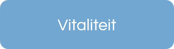 Vitaliteitstraining voor medewerkers – Blue Project & Event Support