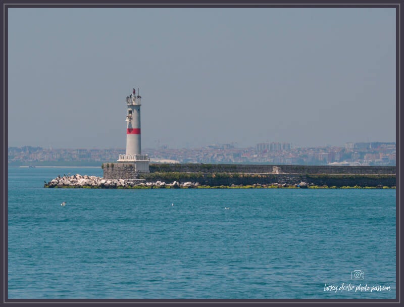 luc_4845_edit-standard-4ofjy3.jpg