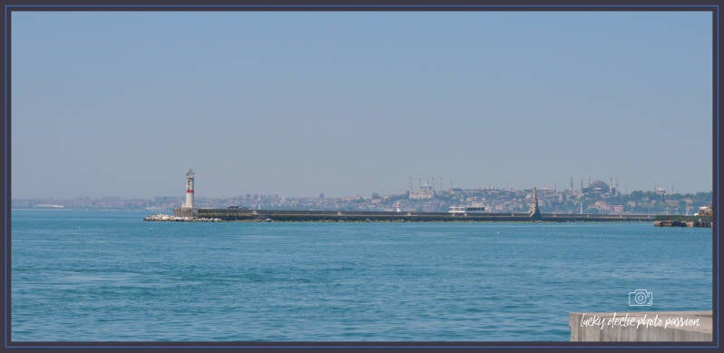 luc_4849_edit-standard-qiu4re.jpg