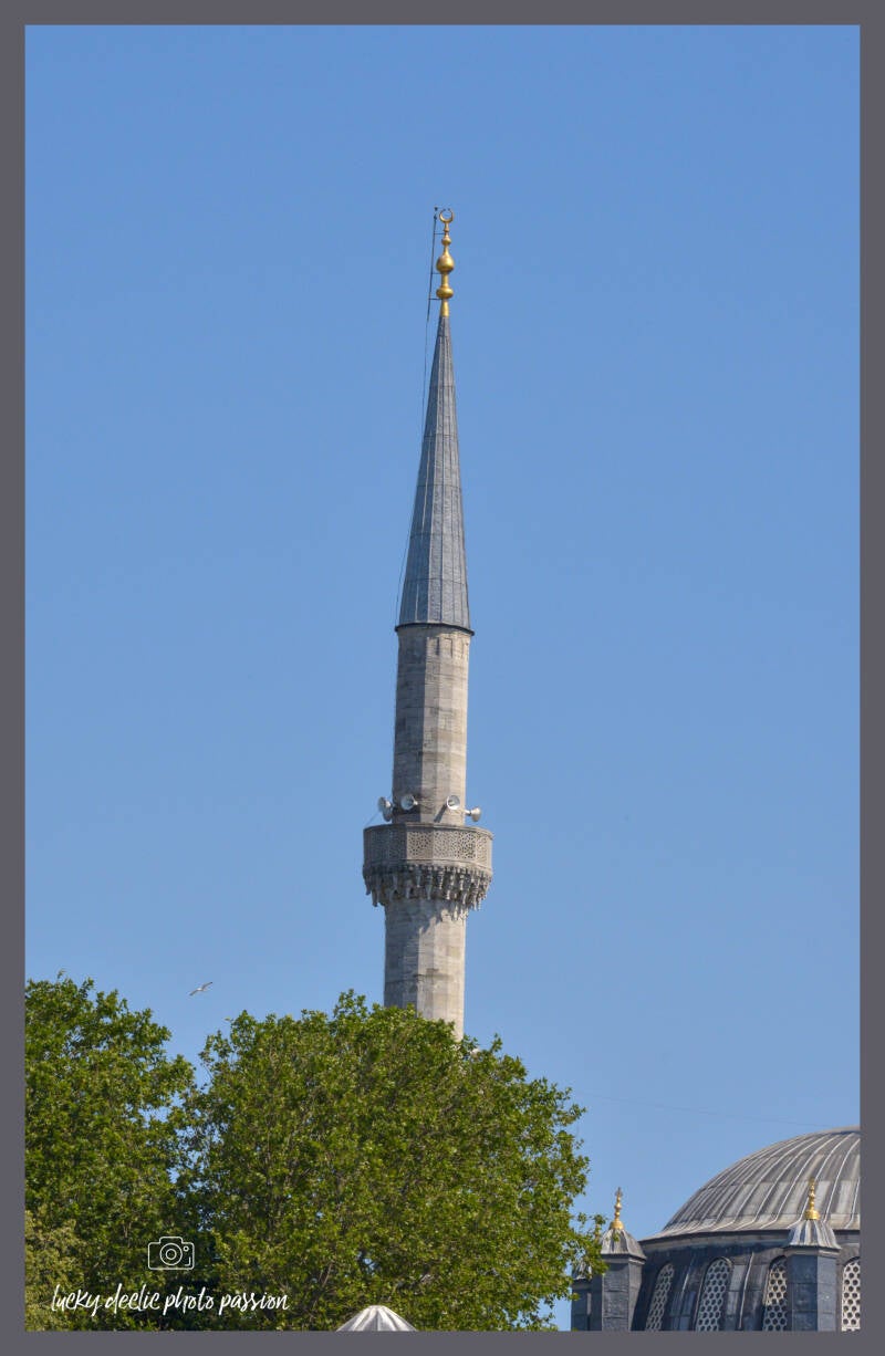 luc_4900_edit-standard-hyzau1.jpg