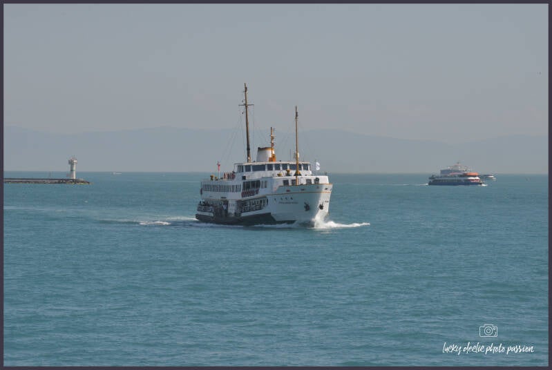 luc_4936_edit-standard-8yx476.jpg