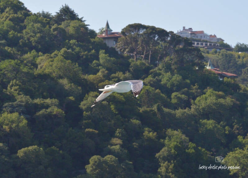 luc_5008_edit-standard-a6aixg.jpg
