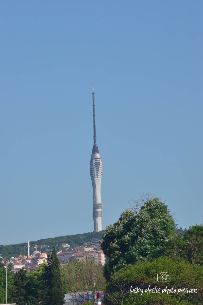 luc_5156_edit-standard.jpg