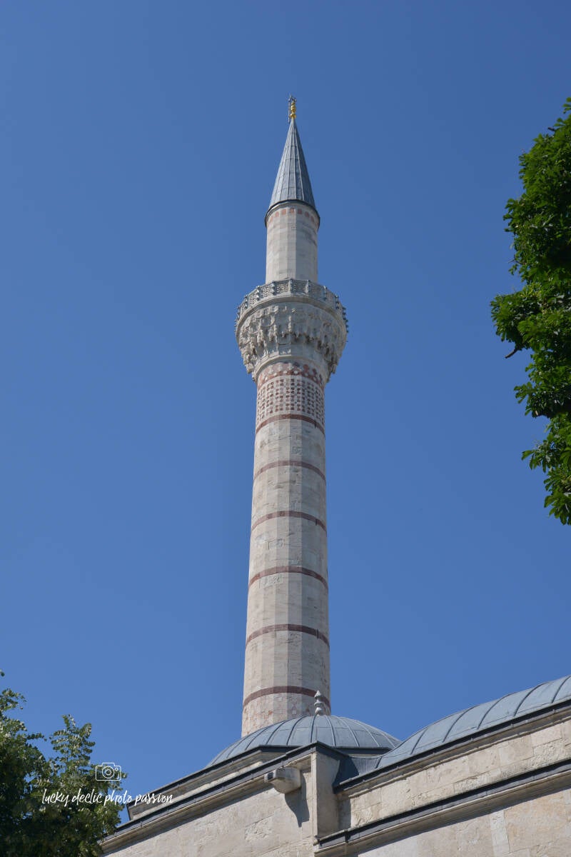 luc_5204_edit-standard.jpg
