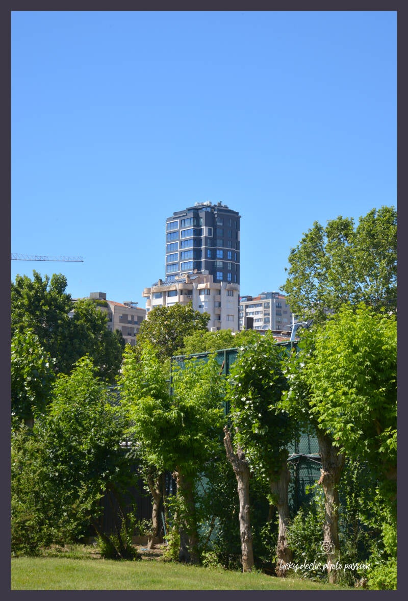luc_5382_edit-standard.jpg