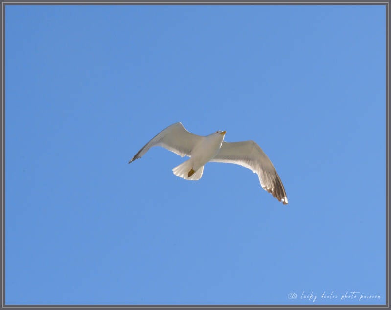 luc_5488_01-standard.jpg
