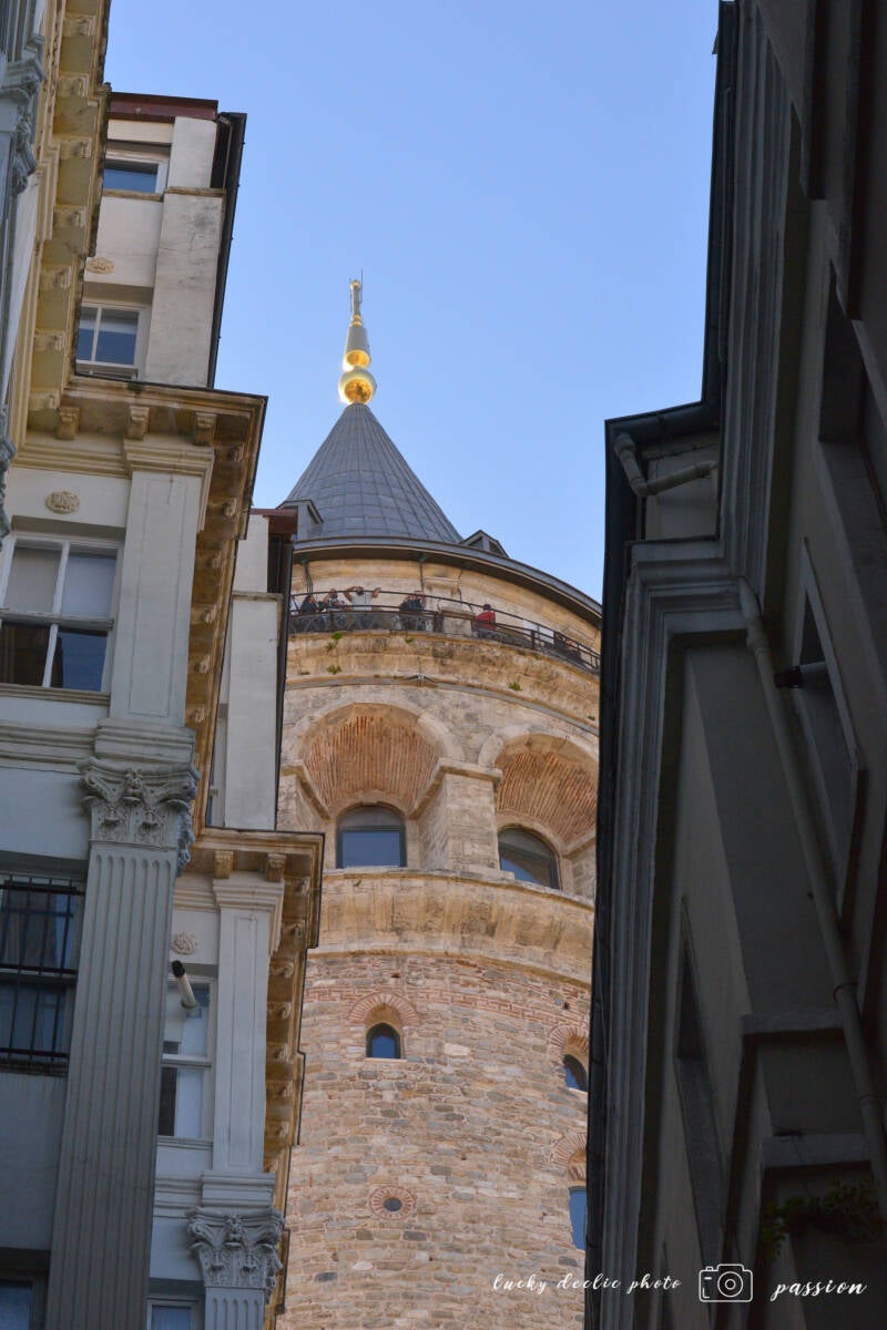 luc_5559_01-standard.jpg