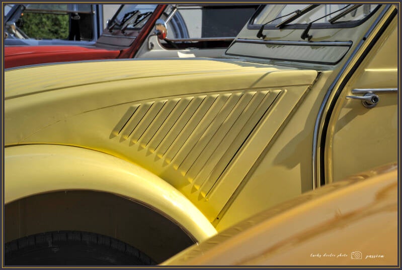 luc_5561_01-standard-ywdnv2.jpg