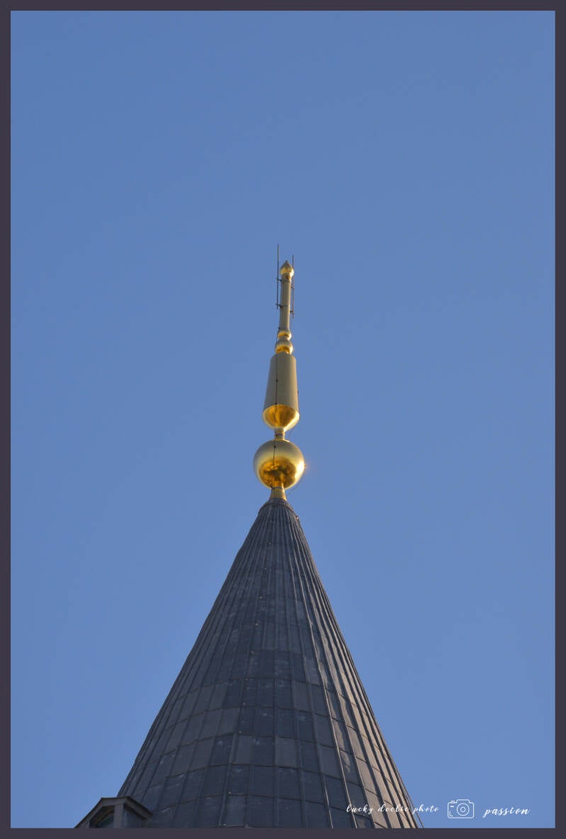 luc_5564_01-standard.jpg