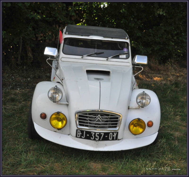 luc_5593_01-standard.jpg