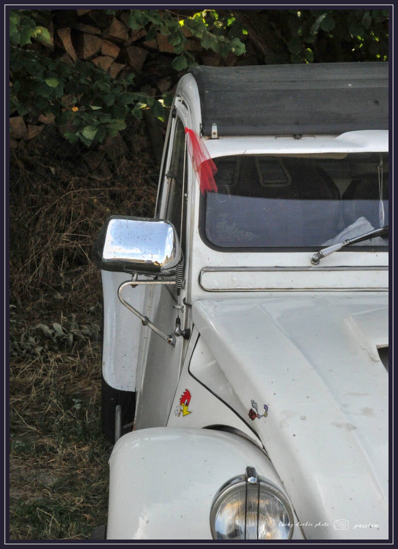 luc_5597_01-standard-gdpqbt.jpg