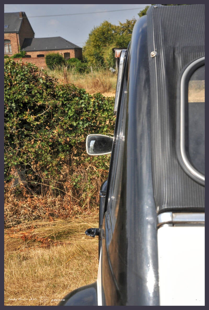 luc_5613_01-standard.jpg