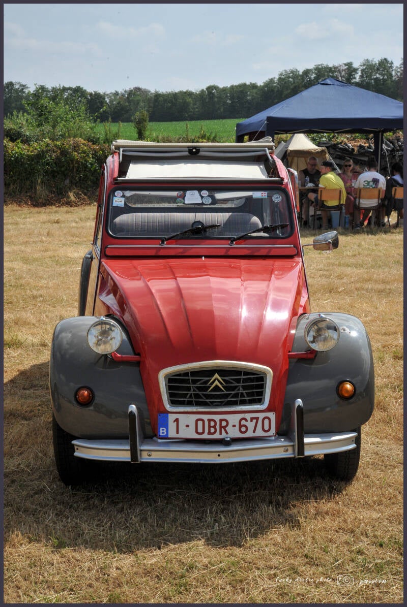 luc_5634_01-standard-ute2dp.jpg