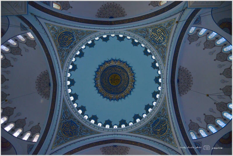 luc_5769_01-standard.jpg