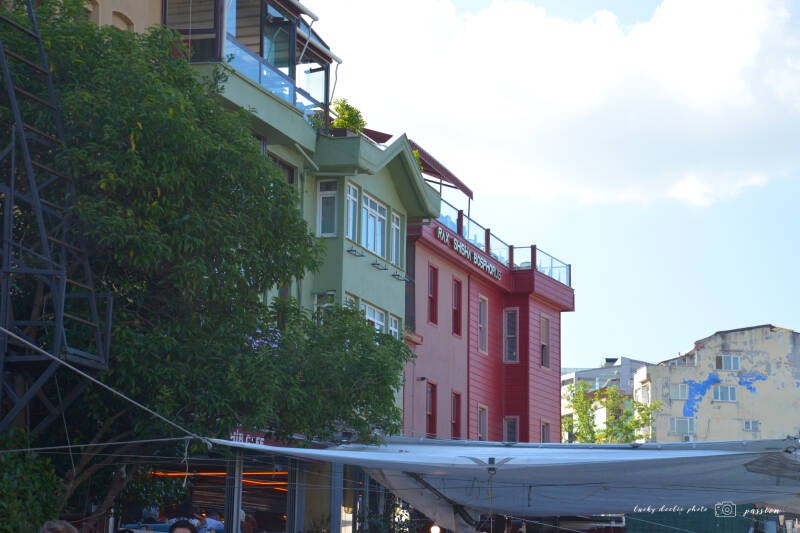 luc_5855_01-standard.jpg