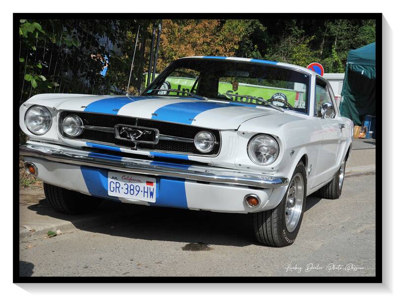 luc_5920-standard-i0r67b.jpg