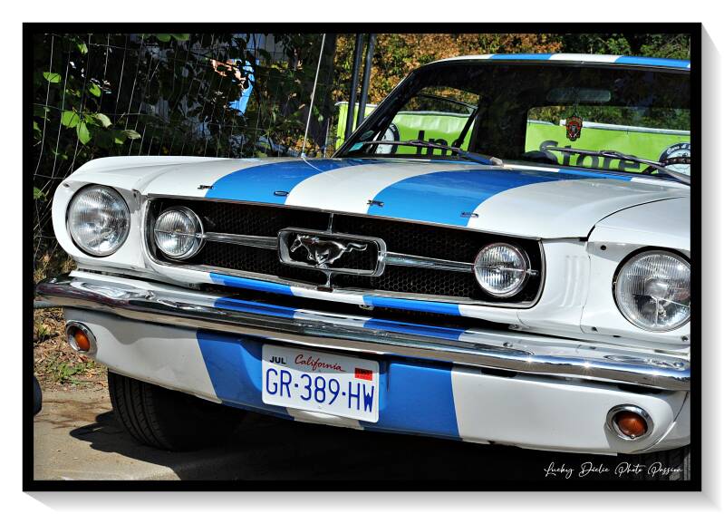 luc_5921-standard-fy3c93.jpg