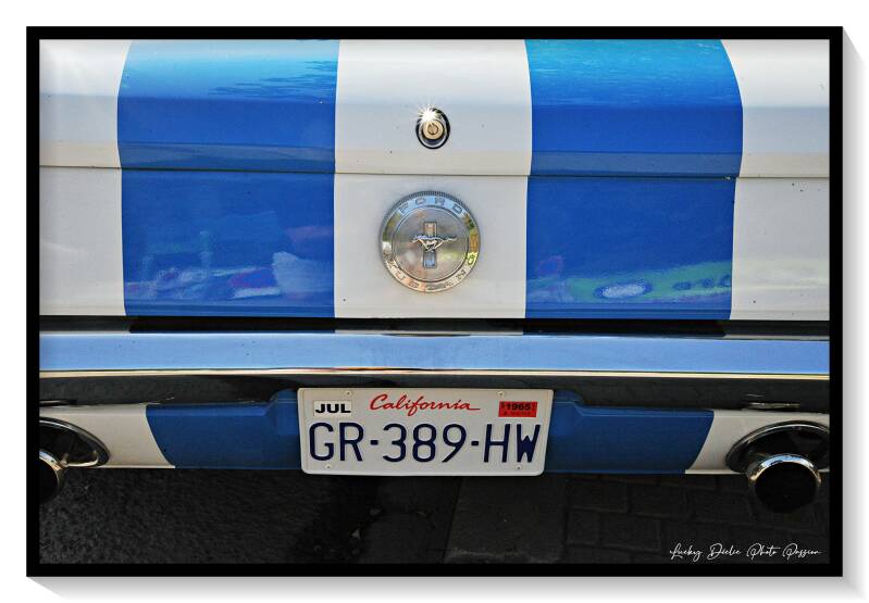 luc_5924-standard-66017v.jpg