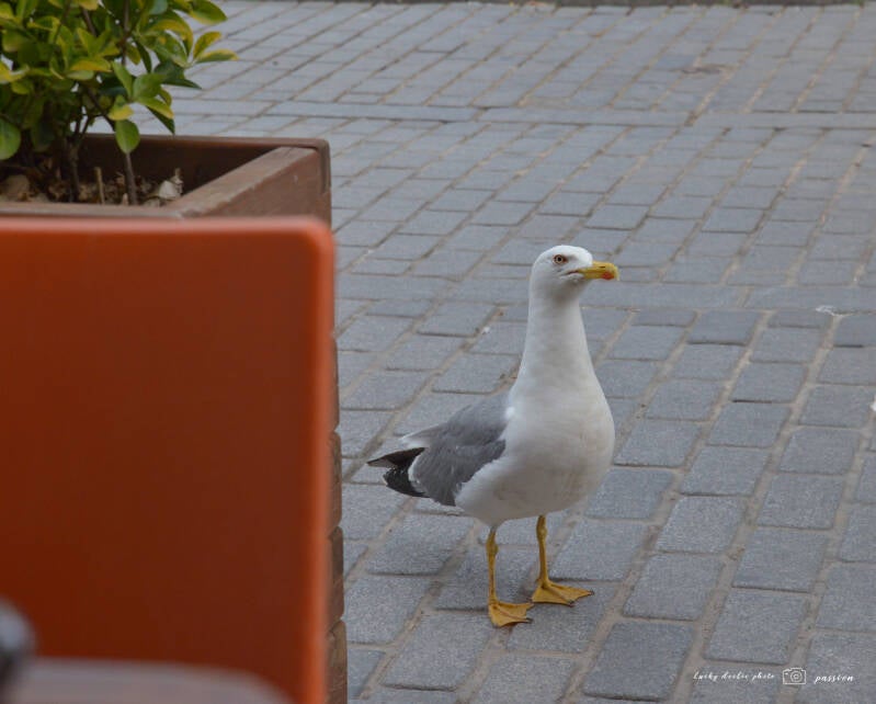 luc_5946_01-standard.jpg
