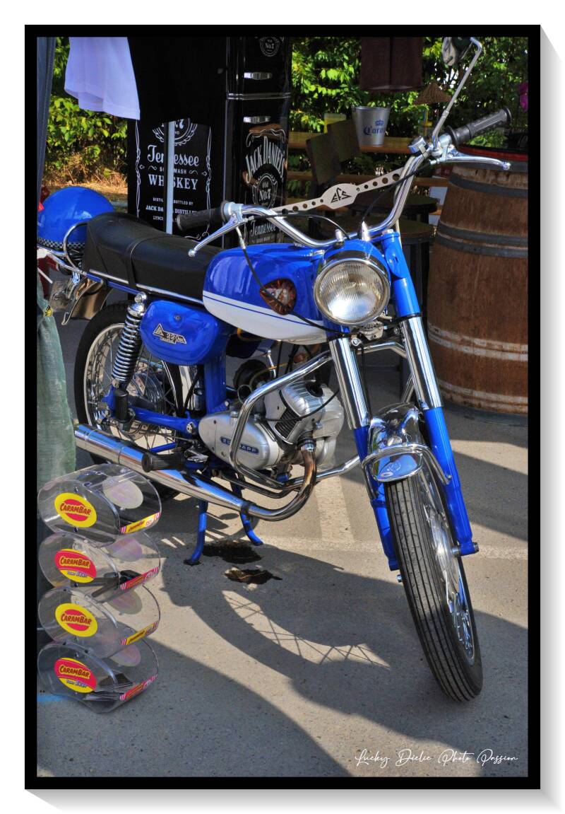 luc_5949-standard-wfxgpd.jpg