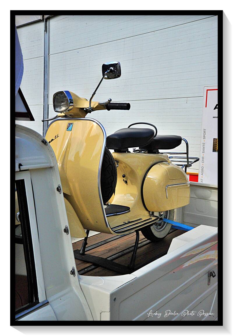 luc_5957-standard-qm9qsq.jpg