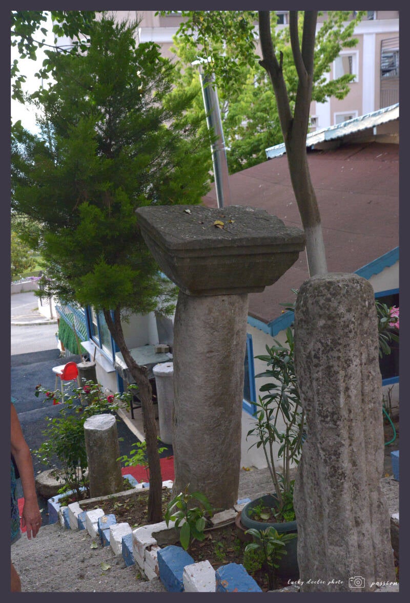 luc_5965_01-standard.jpg