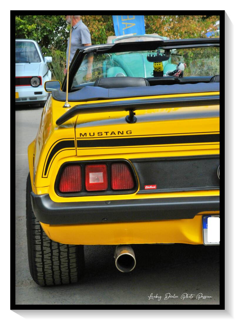 luc_5994-standard.jpg