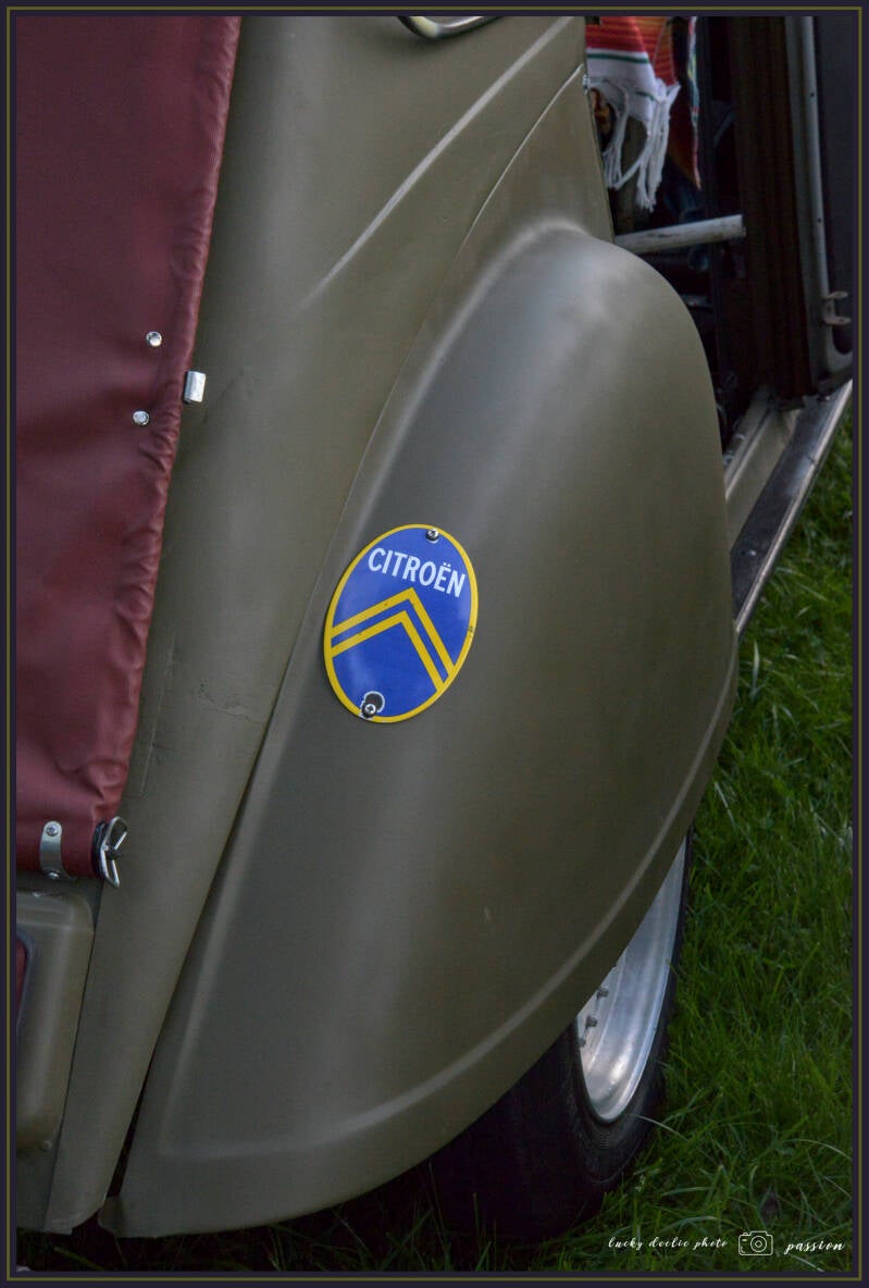 luc_6041_01-standard.jpg