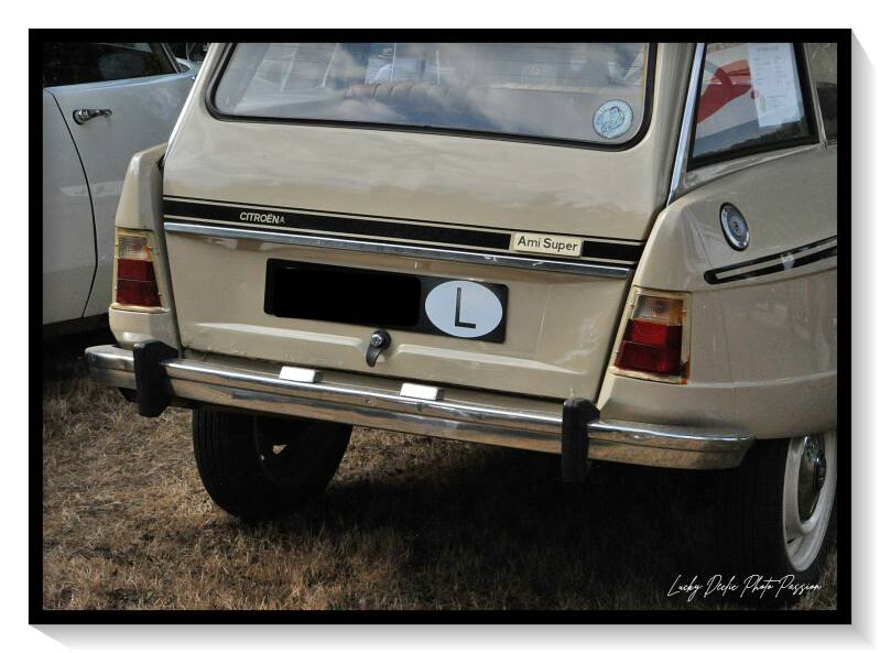 luc_6044-standard.jpg