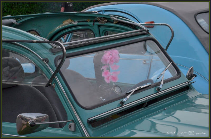luc_6058_01-standard.jpg