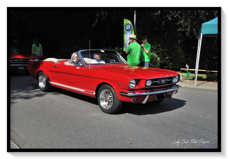 luc_6083-standard.jpg