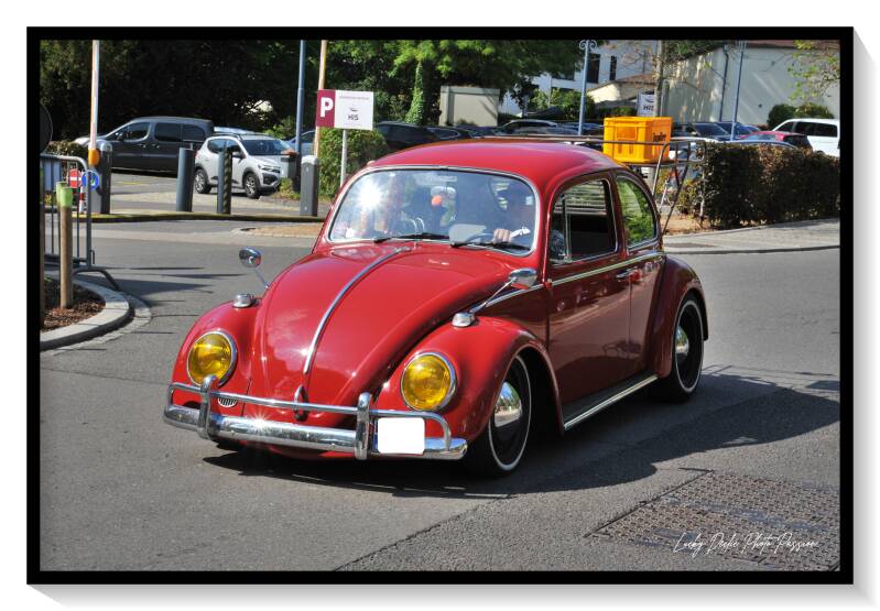 luc_6129-standard.jpg