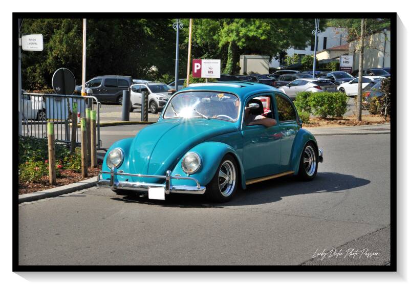 luc_6133-standard.jpg