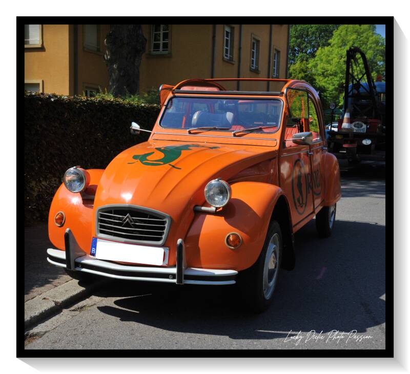 luc_6162-standard.jpg