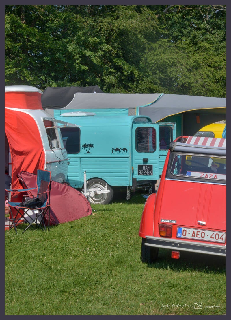 luc_6187_01-standard.jpg