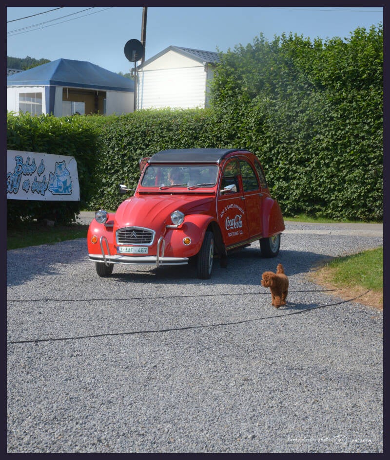 luc_6191_01-standard.jpg
