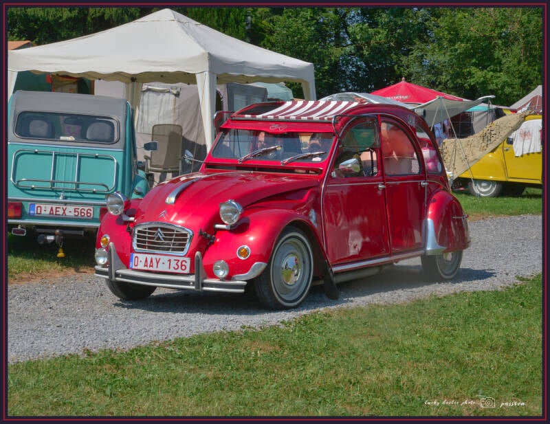 luc_6237_01-standard.jpg