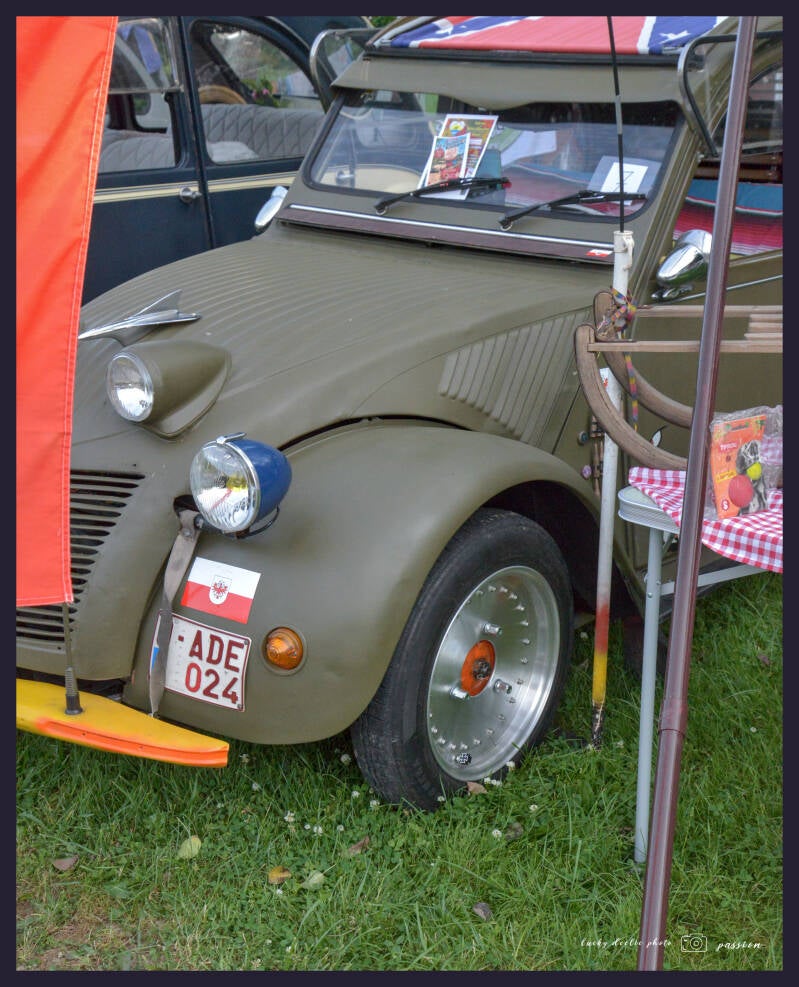 luc_6443_01-standard.jpg