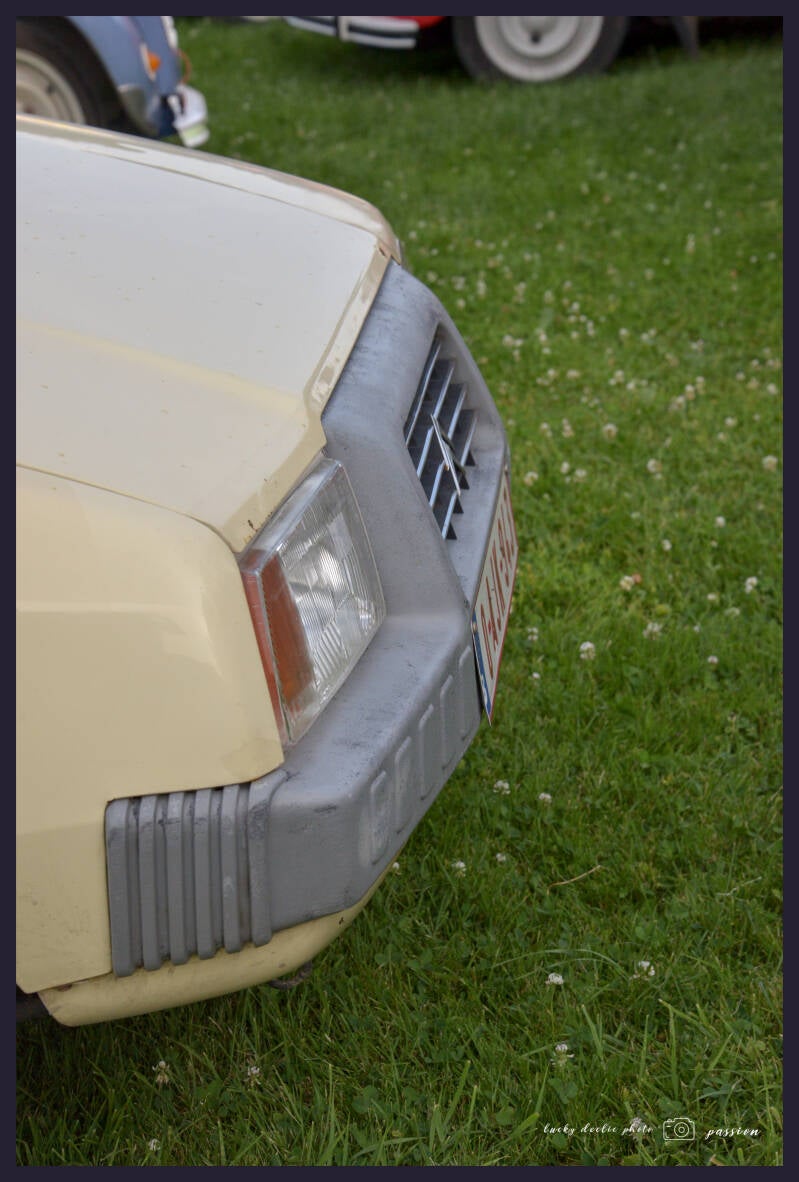 luc_6454_01-standard.jpg