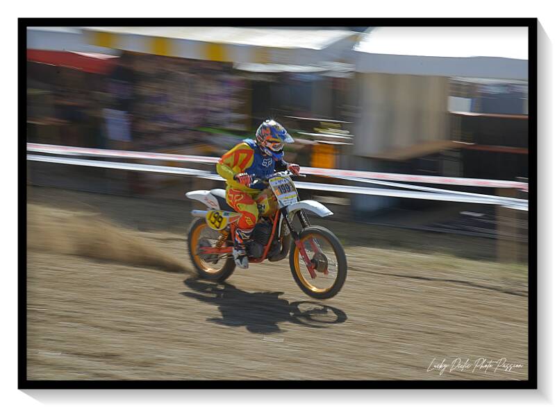 luc_7109-standard.jpg
