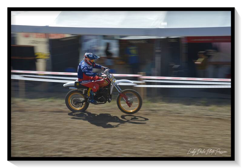 luc_7313-standard.jpg