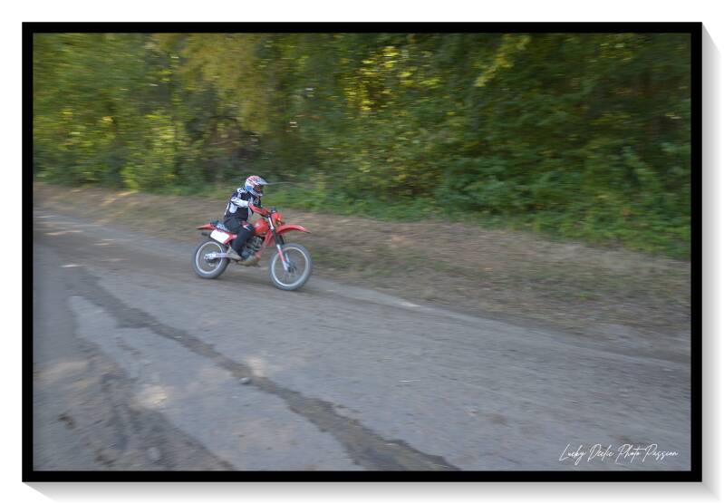 luc_7815-standard-4497qo.jpg