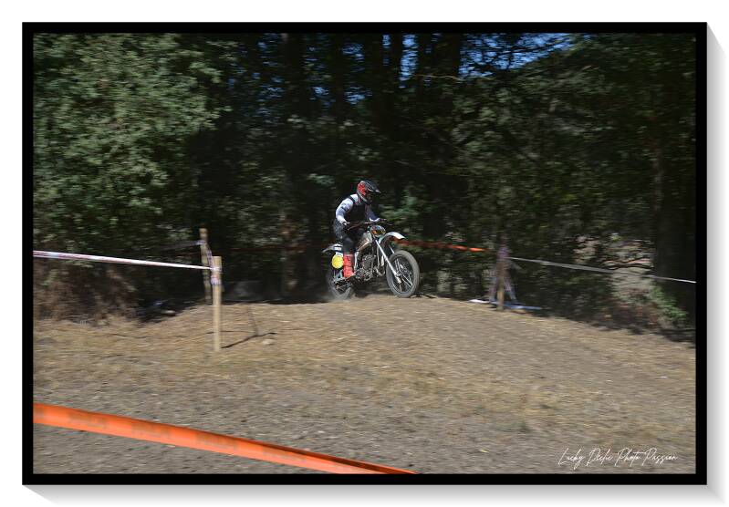 luc_7934-standard-kvk1ey.jpg