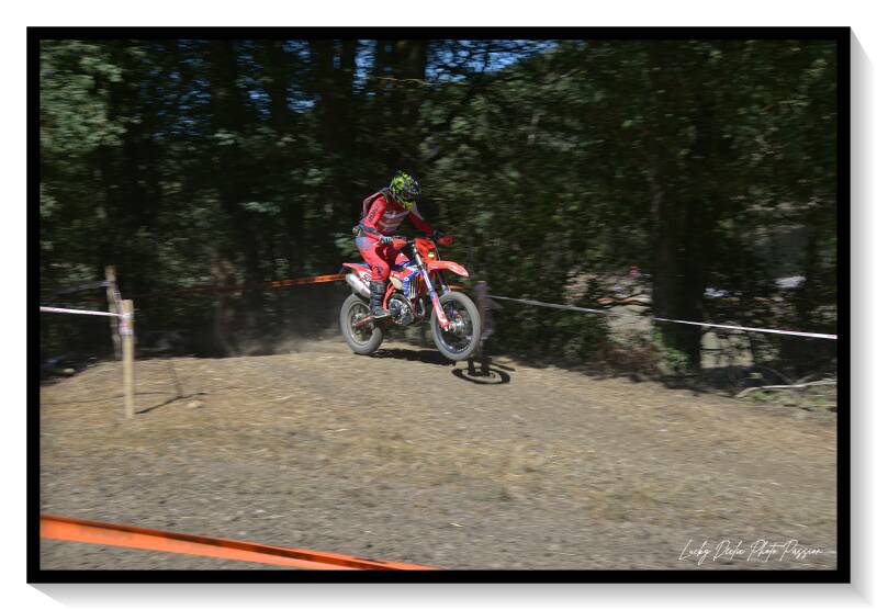 luc_7985-standard-7d3jd8.jpg