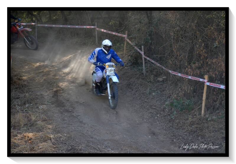 luc_8281-standard.jpg
