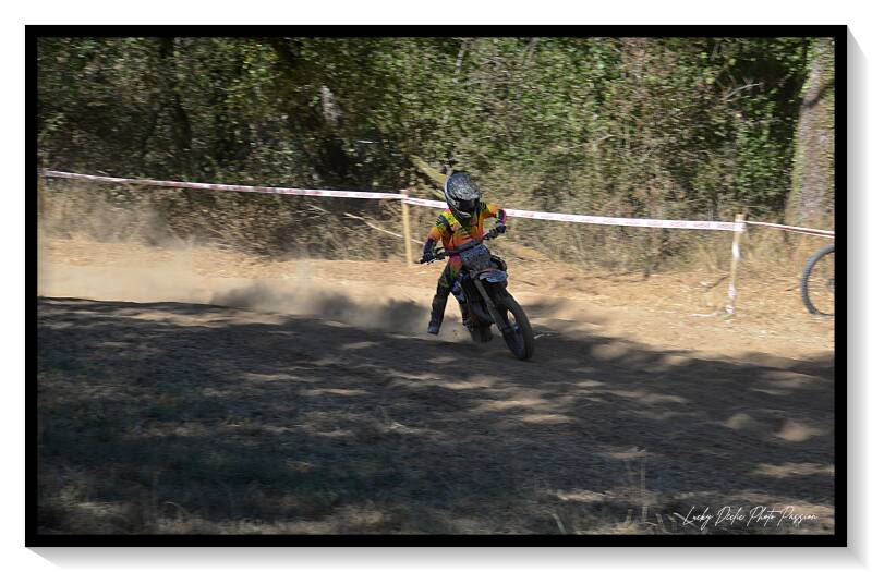 luc_8347-standard.jpg