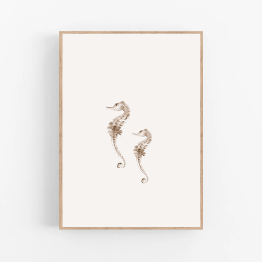 Zeepaardje | Onderwaterwereld