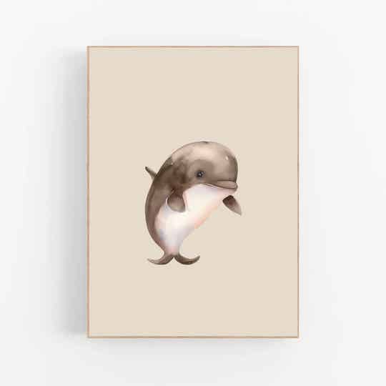 Dolfijn | Mermaid