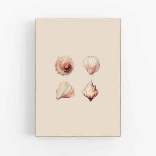 Schelpjes | Mermaid