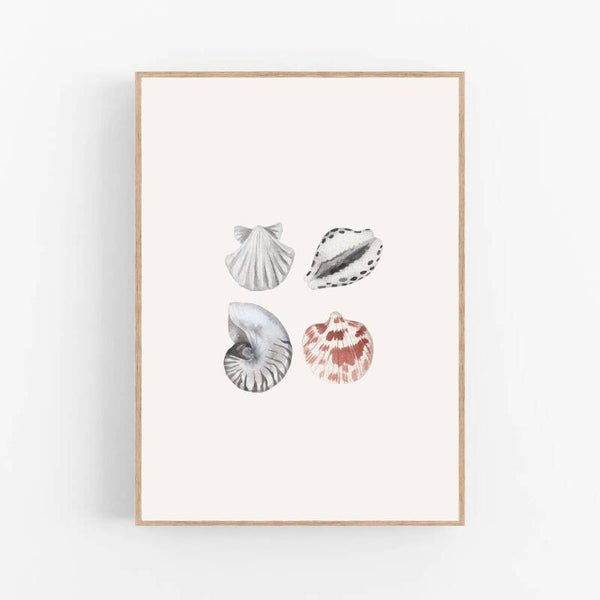 Schelpjes | Under the sea